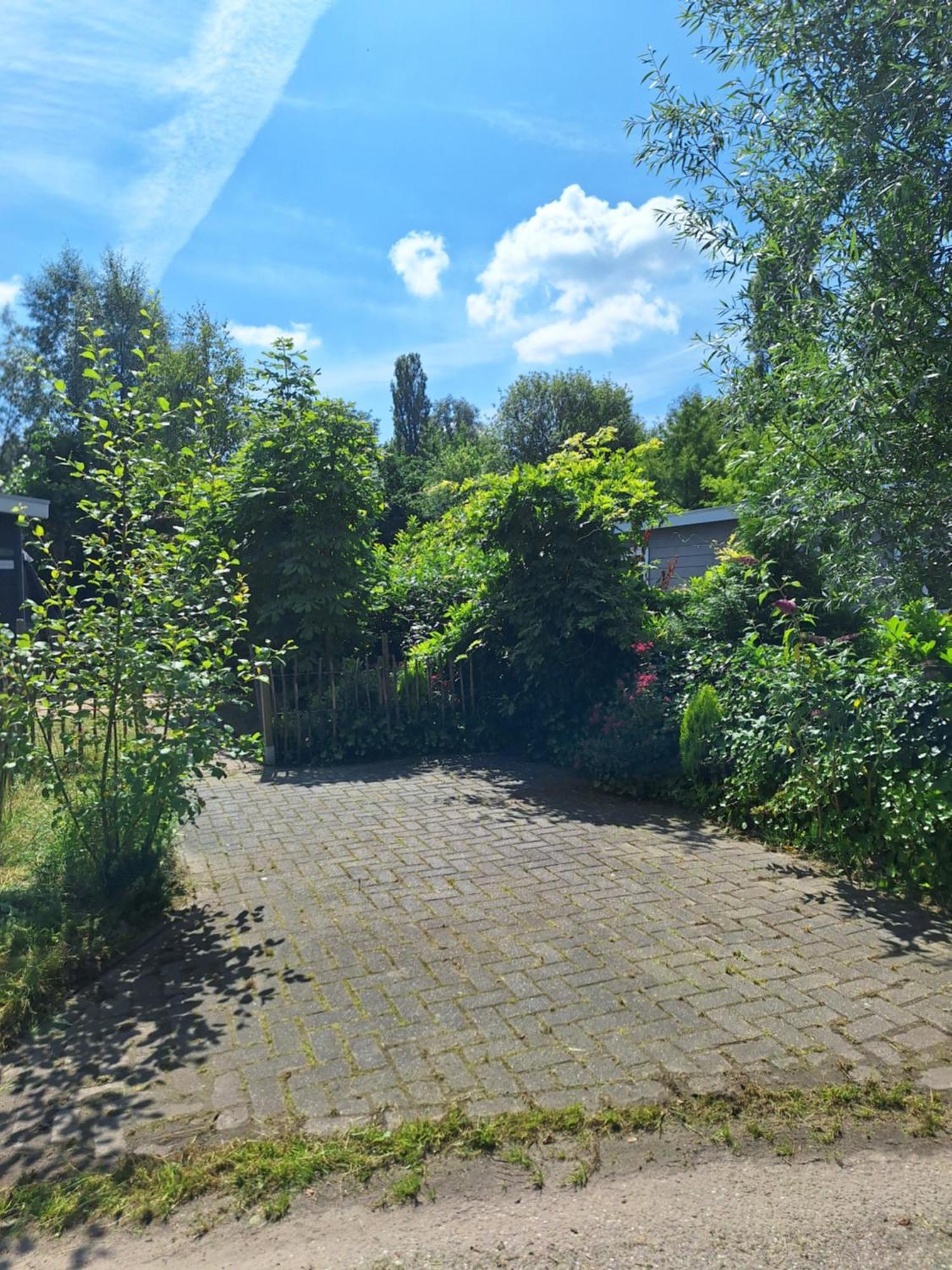 Villa The Bright Side Brabant Molenschot Esterno foto